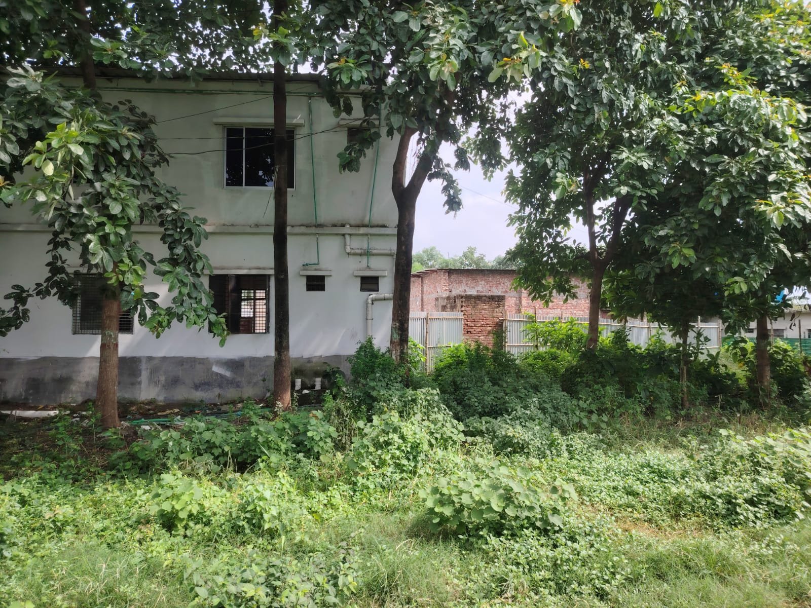 শাপলা সিটির ভিতরে ২.৫০ কাঠা একক মালিকানার জমি বিক্রয়